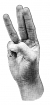 3